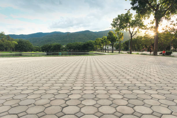 Best Driveway Paving Contractor  in Advae, NC